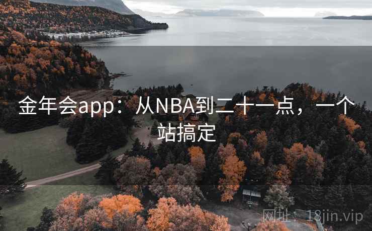 金年会app:从NBA到二十一点,一个站搞定