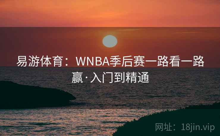 易游体育:WNBA季后赛一路看一路赢·入门到精通