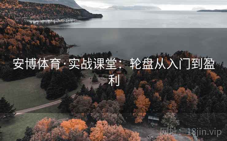 安博体育·实战课堂:轮盘从入门到盈利