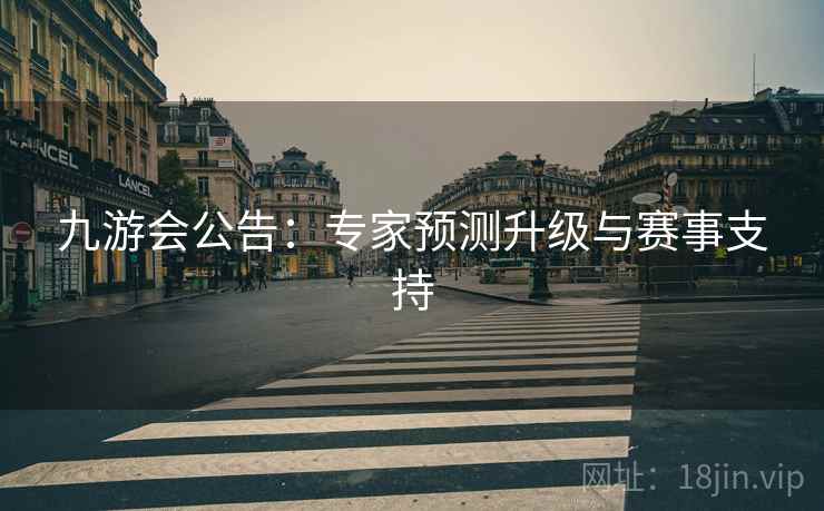 九游会公告:专家预测升级与赛事支持