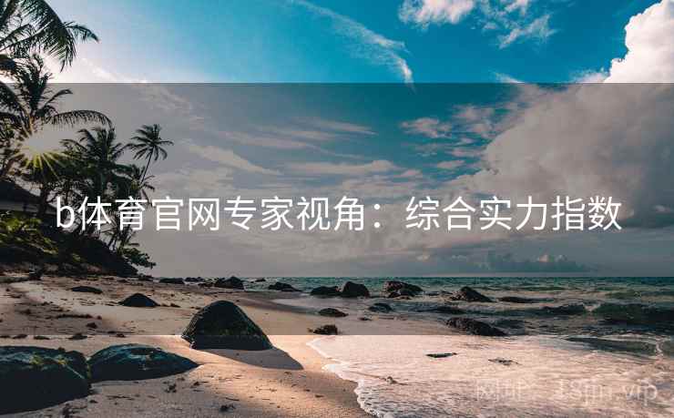 b体育官网专家视角:综合实力指数