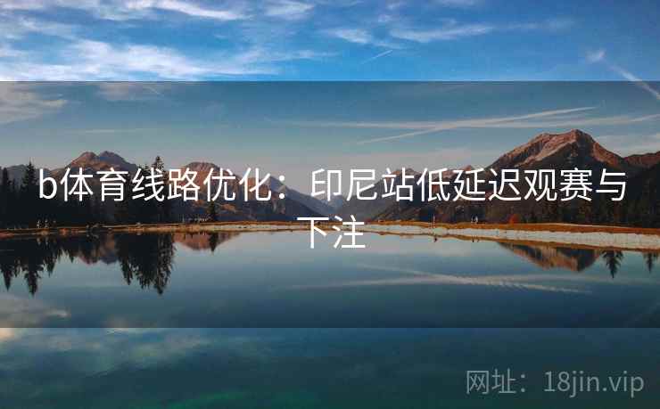 b体育线路优化:印尼站低延迟观赛与下注