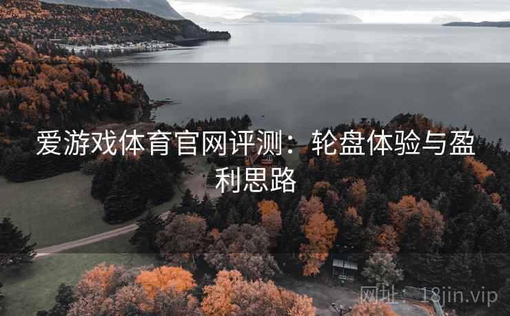 爱游戏体育官网评测:轮盘体验与盈利思路